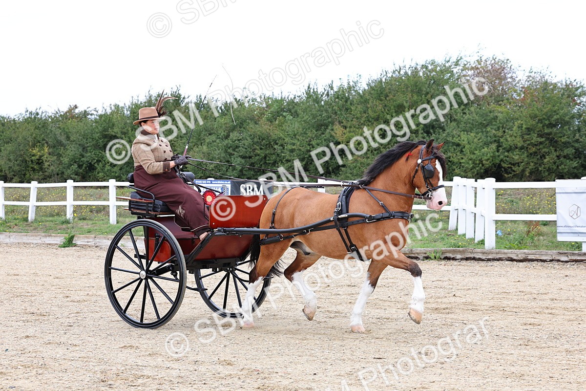 SBM_000340 - Class 2 - Exercise Vehicle 13.2hh & Under