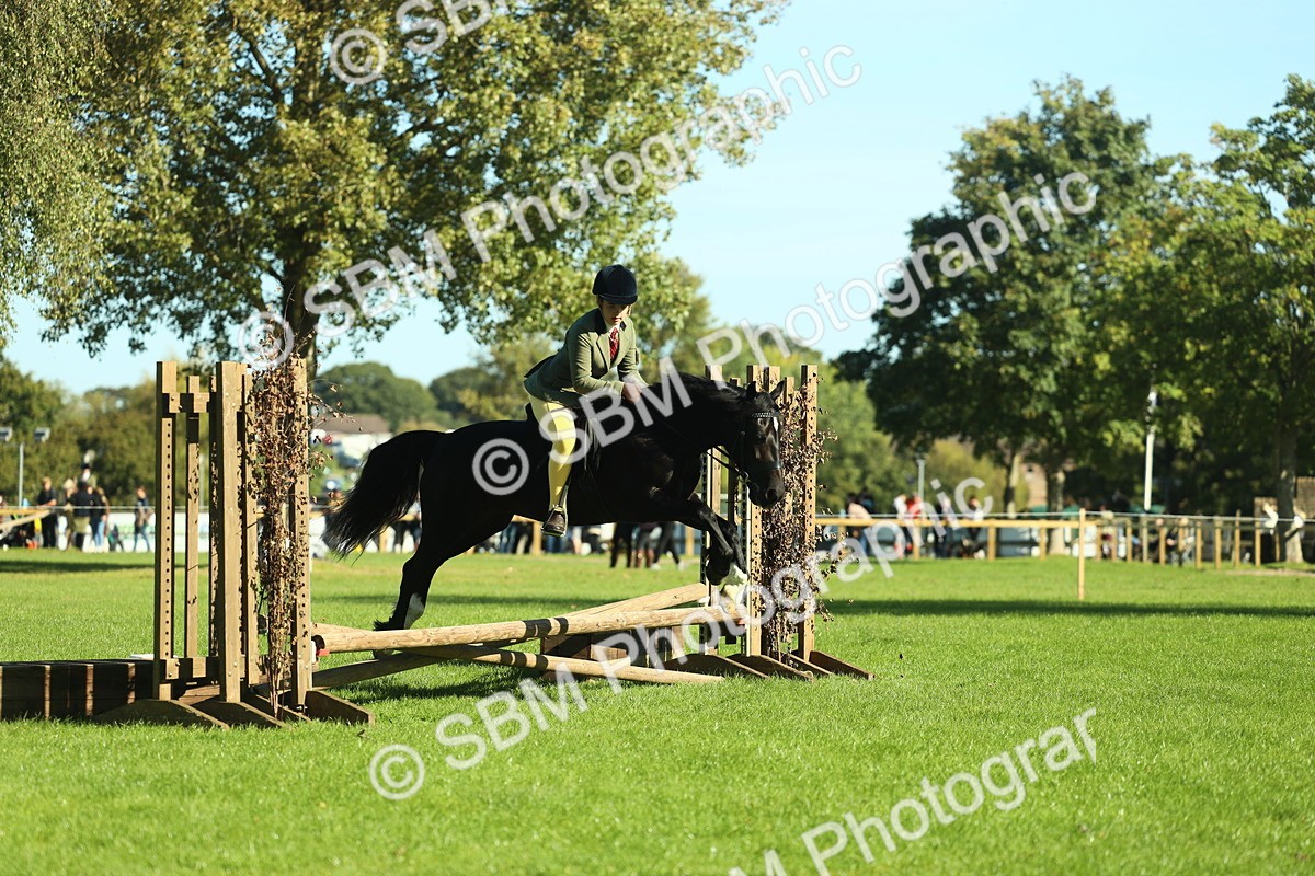 SBM_37395 - S29 - Novice & Newcomers Working Hunter Pony