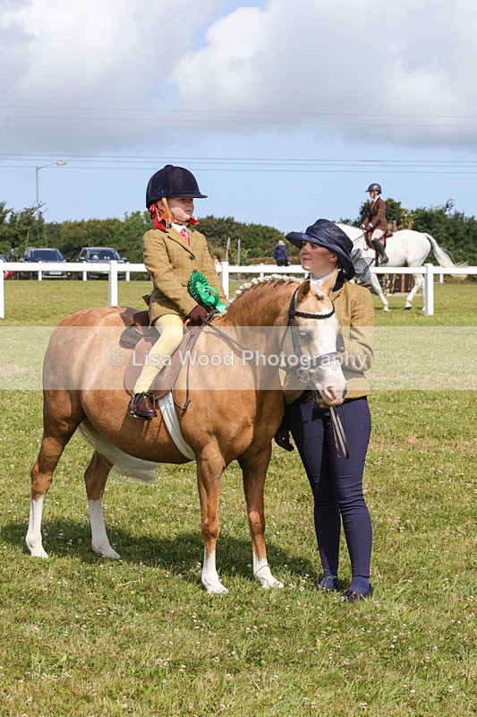 1X9A3685 - Class 29: Lead Rein SP/SHP
