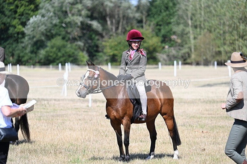 WJ7_4170 - Class 9 Mountain & Moorland Ridden