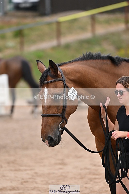 250716-141141-00964 - Trot Up 1.30 to 2.30