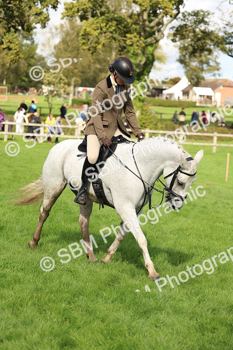 SBM_45533 - S33 - Working Hunter Pony