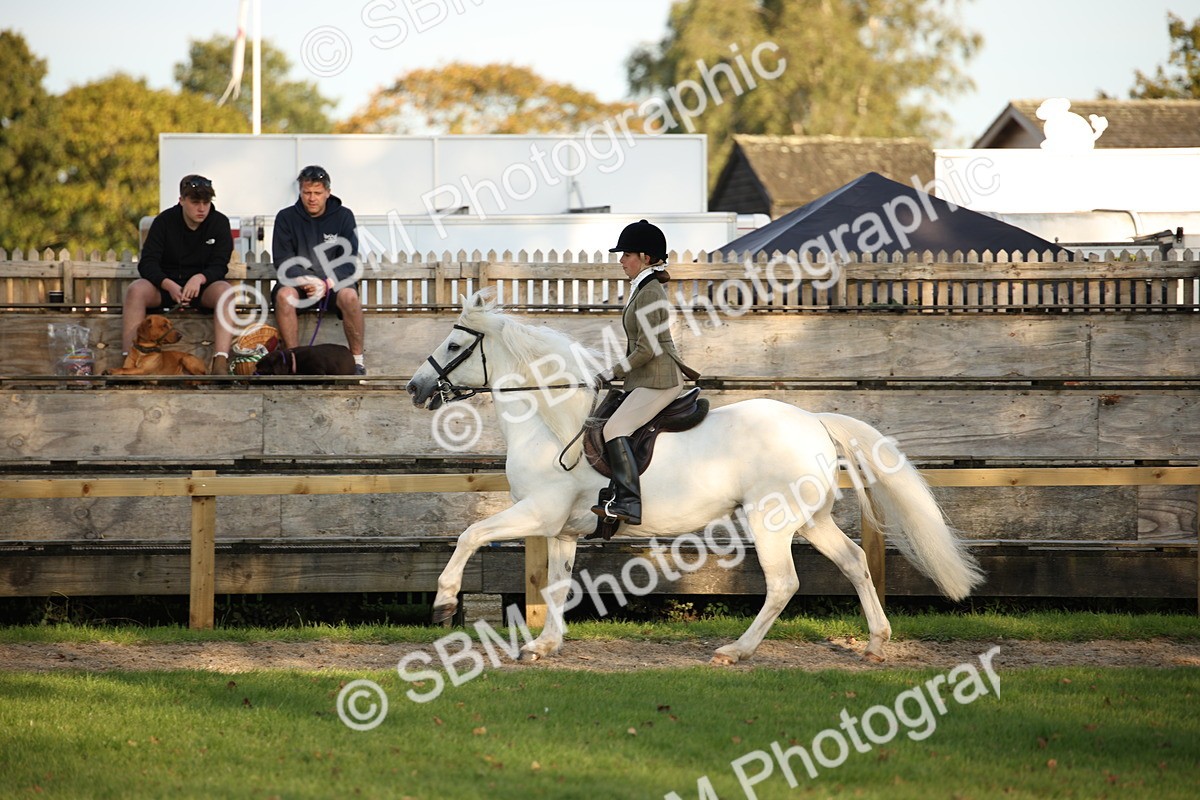 SBM_54449 - S27 - Mature Veteran - Ridden