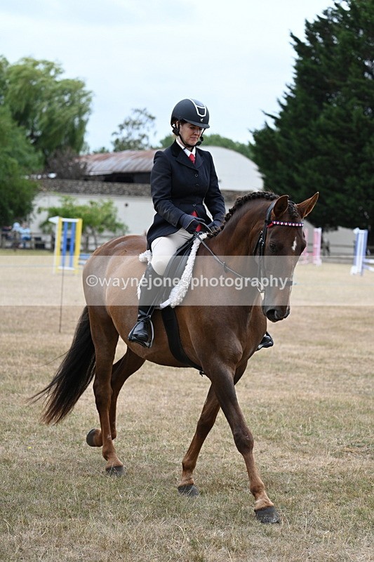 WJ7_0778 - Class 7 Riding Club Show Horse