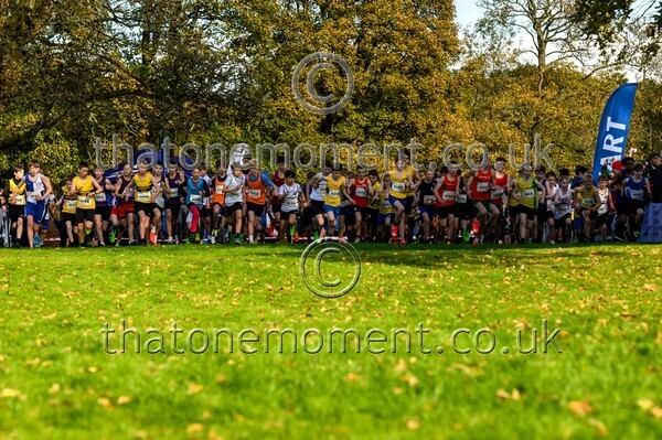 NatRel25-914068 - Young Male Set One