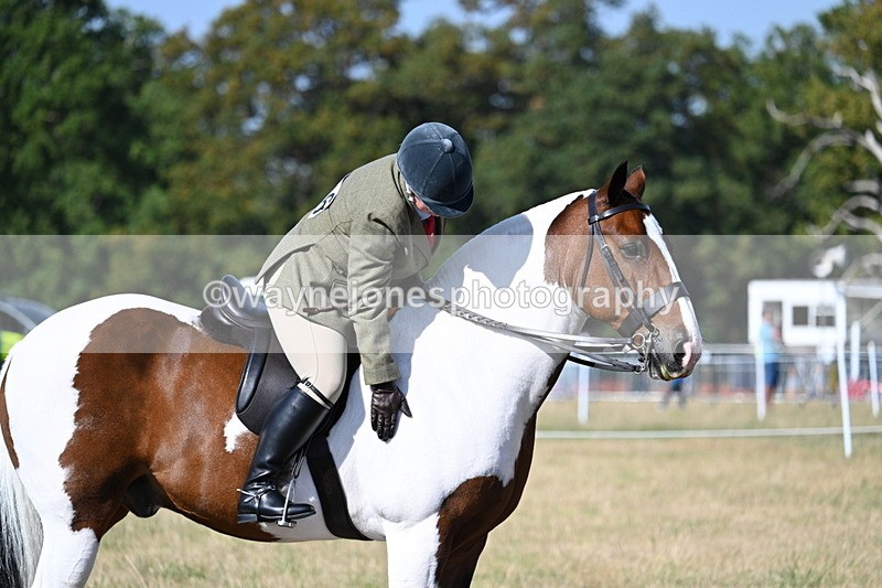 WJ7_2970 - Class 8 Ridden Tack & Turnout
