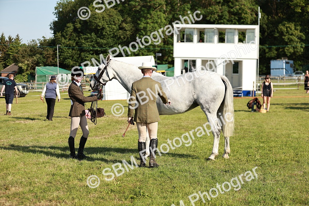 SBM_20022 - Class 115-116 - LIHS BSHA Rising Star Working Hunter & Show Horse