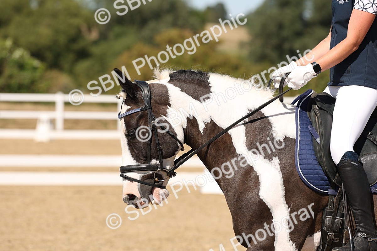 SBM_003699 - Elementary 4