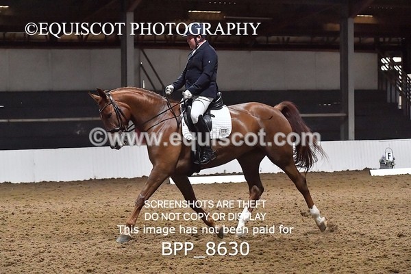 BPP_8630 - NOVICE 4 BD