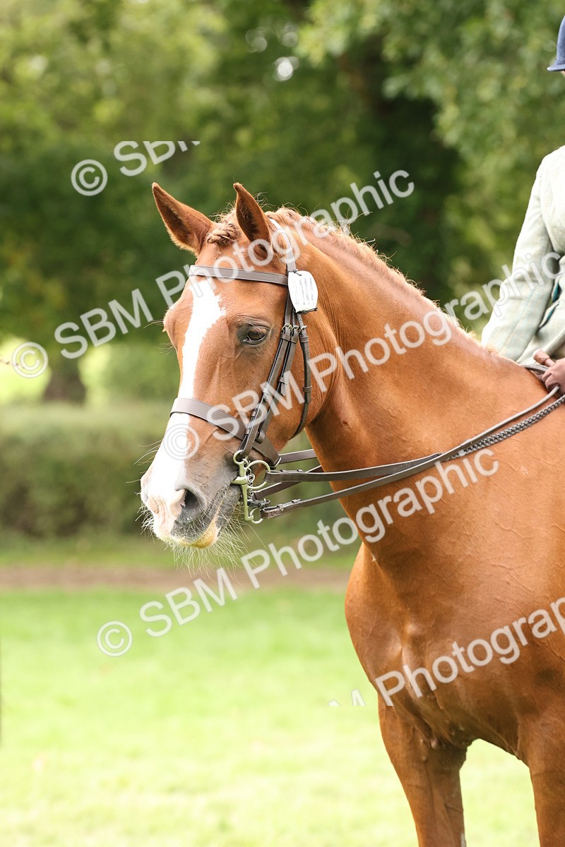 SBM_66384 - S66 - Hunter Ridden