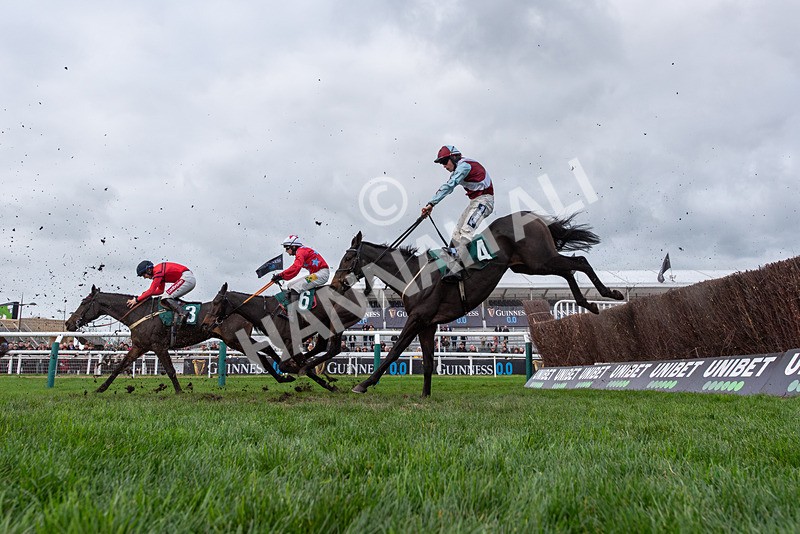 161125-Race 2-Queensbury Boy-2972 - Race 2