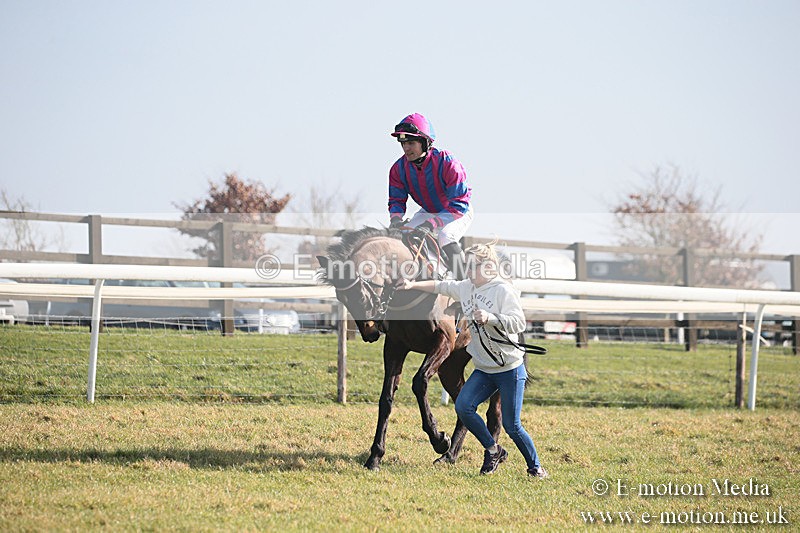 PtP 230219 4 - Vine & Craven Point-To-Point - Barbury 23/02/19