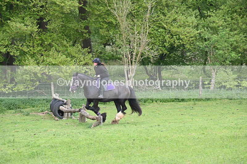 WJ6_2448 - A Camera