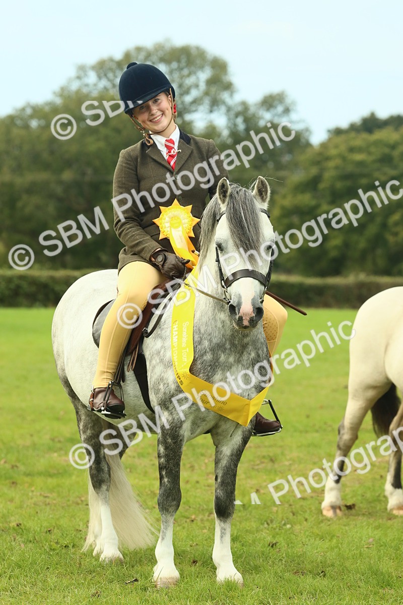 SBM_70028 - S59 - Mountain & Moorland Ridden Small Breeds