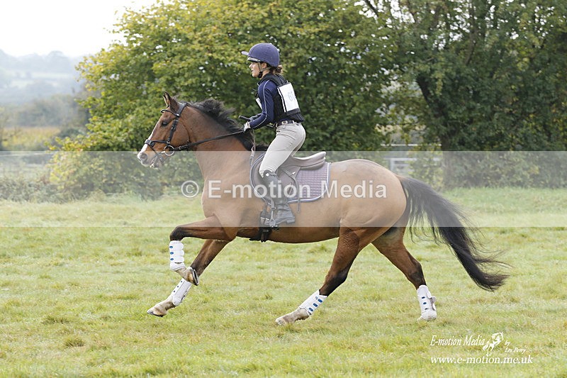  WWHT 171021 1000 - Open Novice (0.80m)  17/10/21