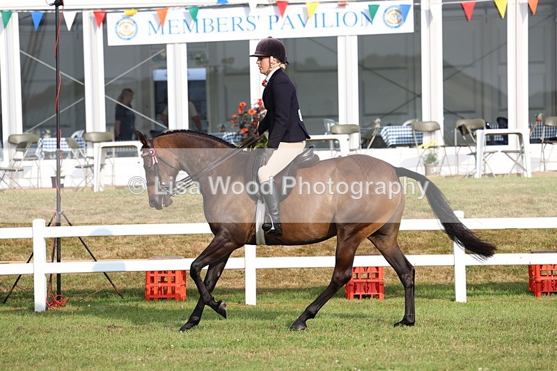 3E7A7715 - Class 1: Rising Star Small Hack/Riding Horses