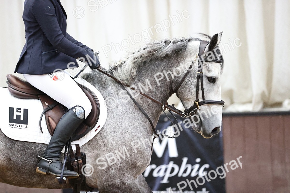 SBM_000188 - Class 2 - Pony British Novice - 80cm Open