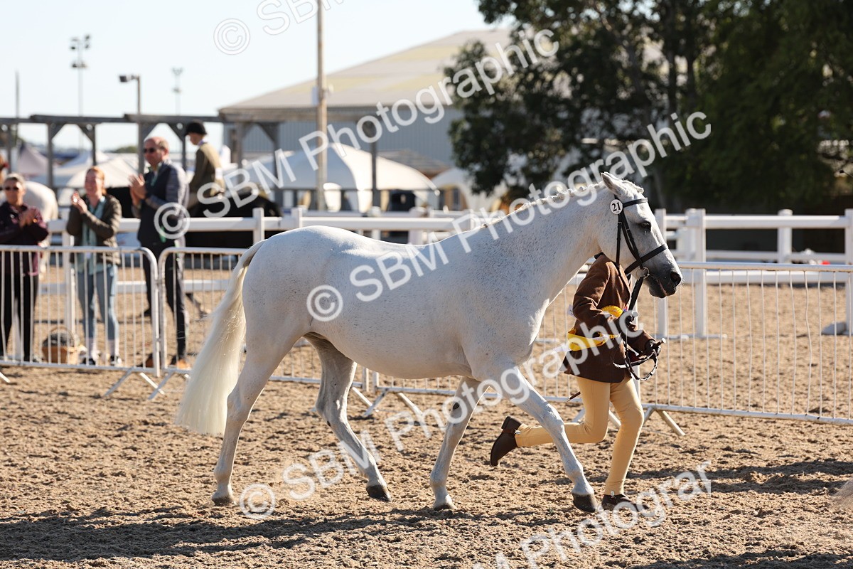 SBM_11706_Class 203 - Young Handler 10 Years and Under - Vicky Gutteridge