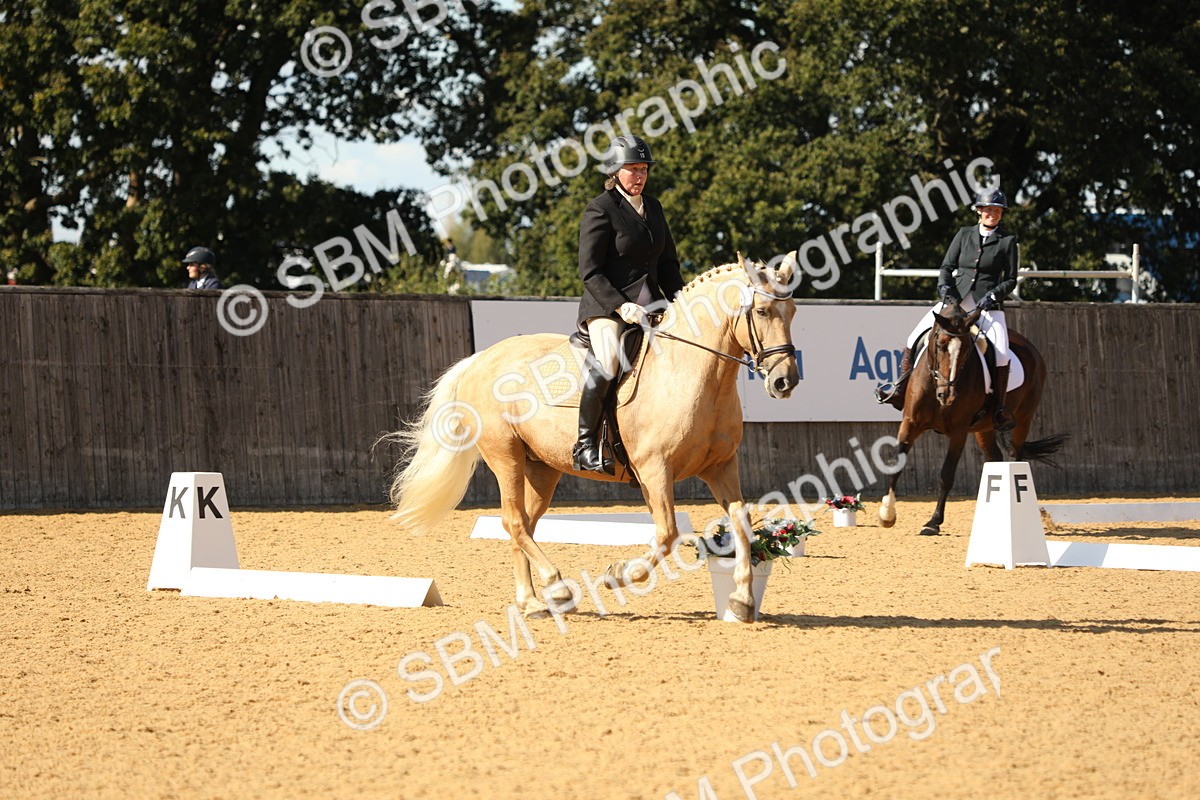 SBM_24564 - D17 - Grand Tour Championship - Novice 27