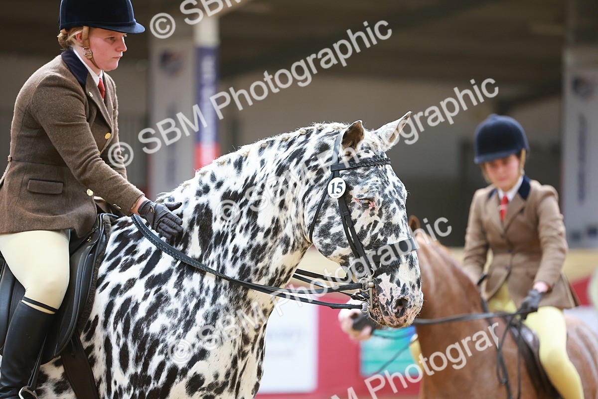 SBM_12632 - Class 103 - HOYS Veteran Qualifier - Ridden Pre Vet
