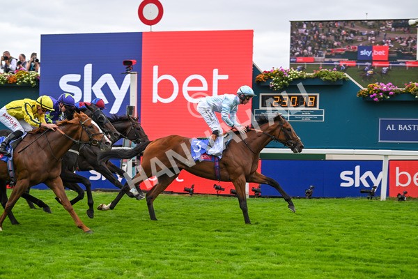 200825-Race 3-Pride Of Arras-1500 - Race 3 3.00pm Sky Bet Great Voltigeur Stakes