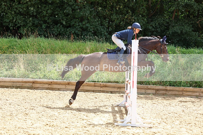 3E7A0407 - Class 9: Senior British Novice/90cm open