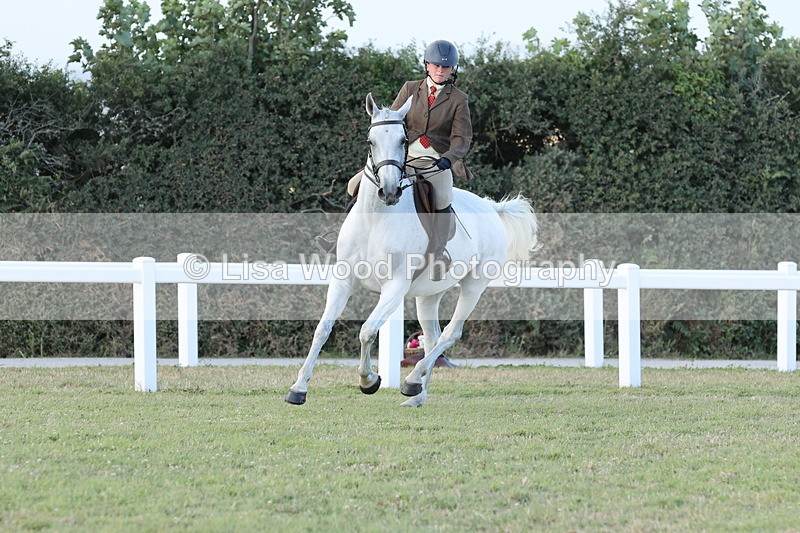 JPP_3700 - Class 24: Open Working Hunter