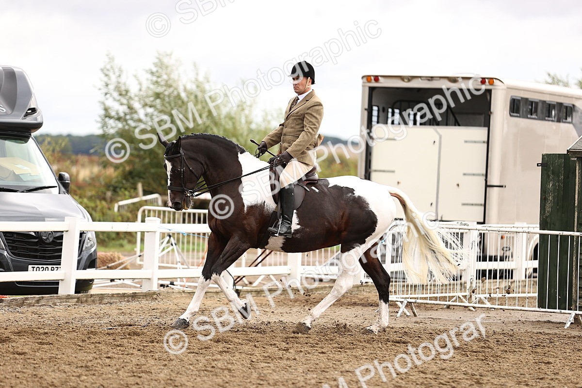 SBM_00600 - Class 53 - Ridden Competition Horse Pony