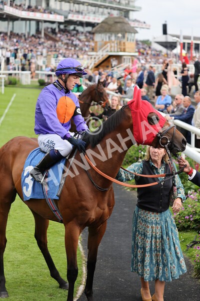 yr24072021r7-15 - Race 7 5.35pm The Sporting Life Fast Results Stakes