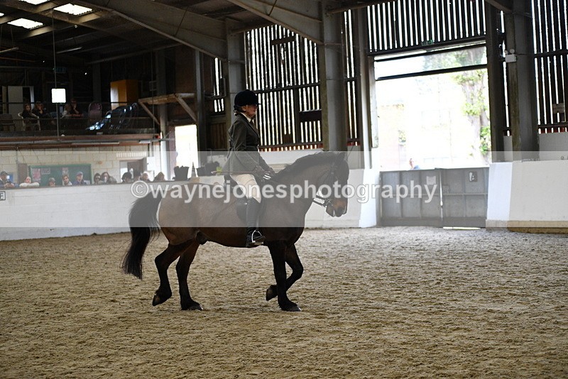 WJ5_6163 - Class 9 Ridden Veteran