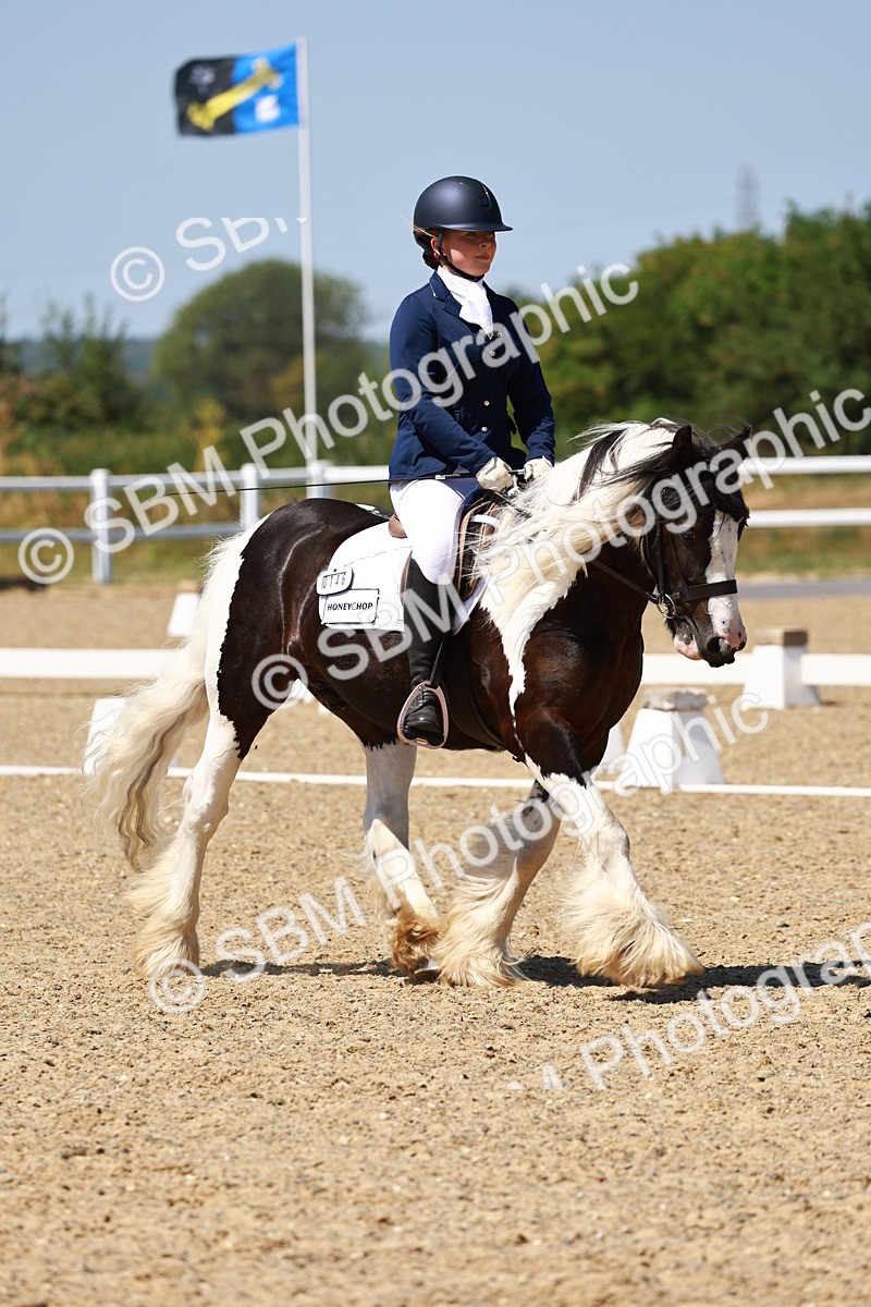SBM_011828 - Intro 3 - 13.00-14.10