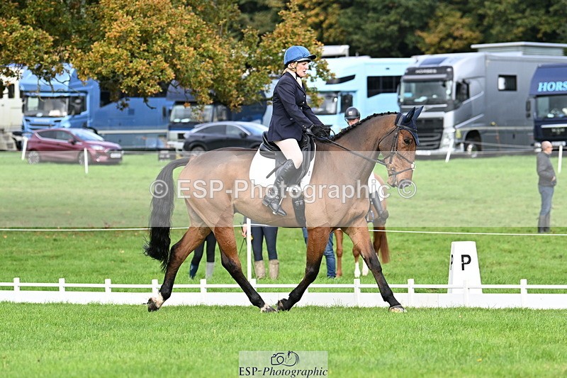 251023A-113523-03611 - G-514-Carolyn.Price With Trot Up