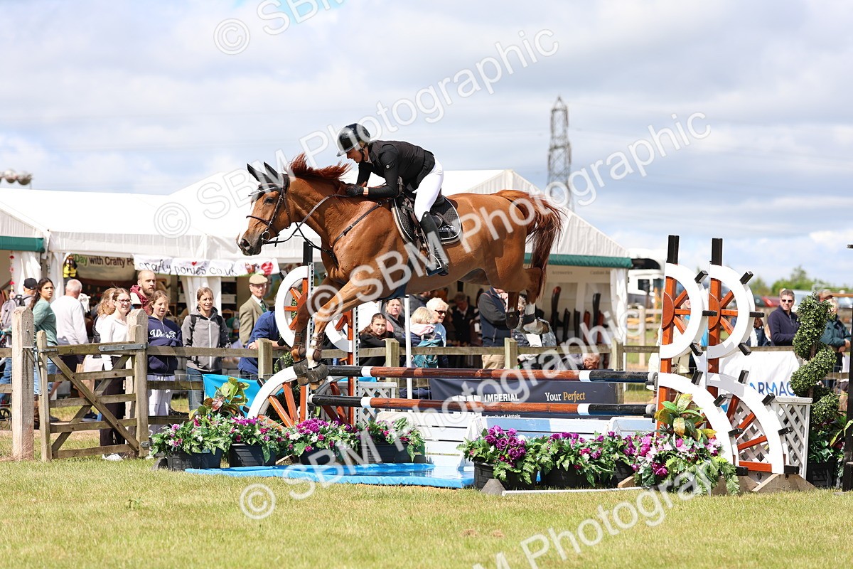 SBM_13599 - Class 206 - Senior Newcomers - 1.10m Open