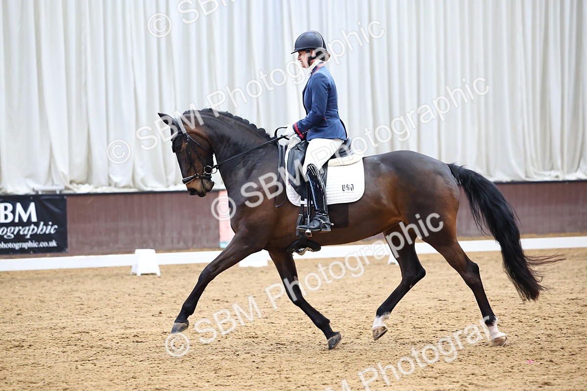 SBM_008175 - Class 21 - Medium 5