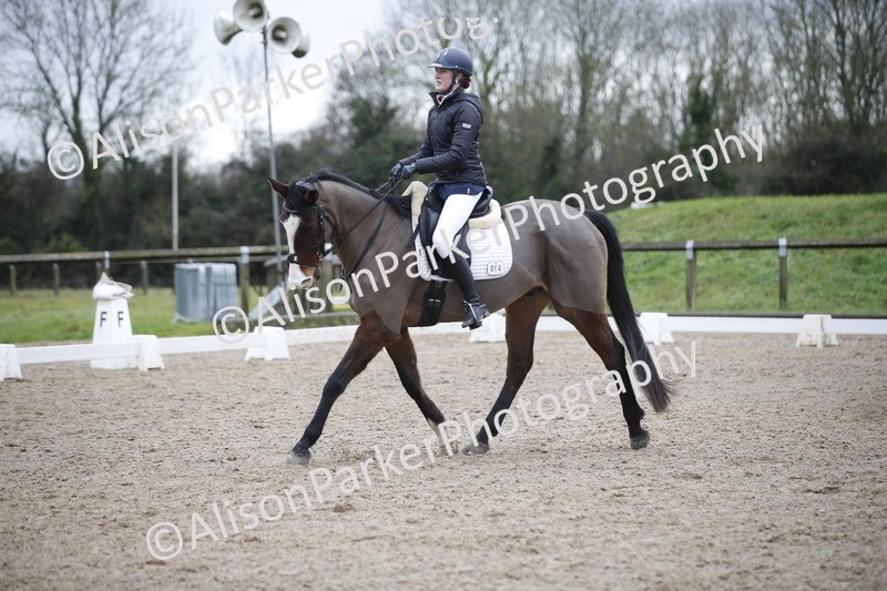 20260127-0255 - Class 16 - BD Novice 2