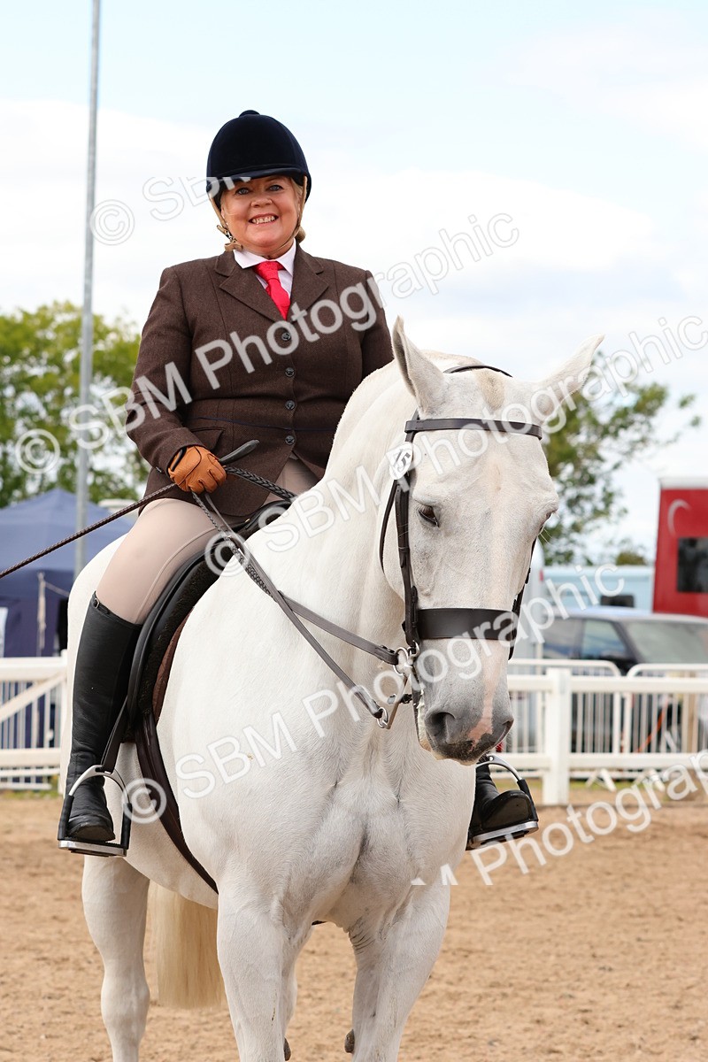 SBM_15516 - Class 214 - Ridden Show Cob