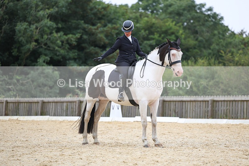 3E7A7104 - Class 7: Novice 4 2024 Section B