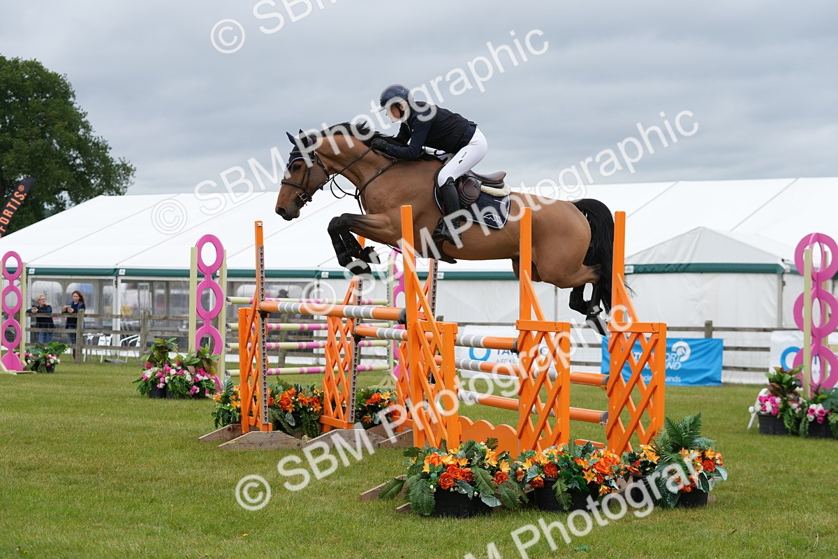 SBM_03383 - Class 201 - British Horse Feeds Speedi Beet Horse of the Year Show Grade  C