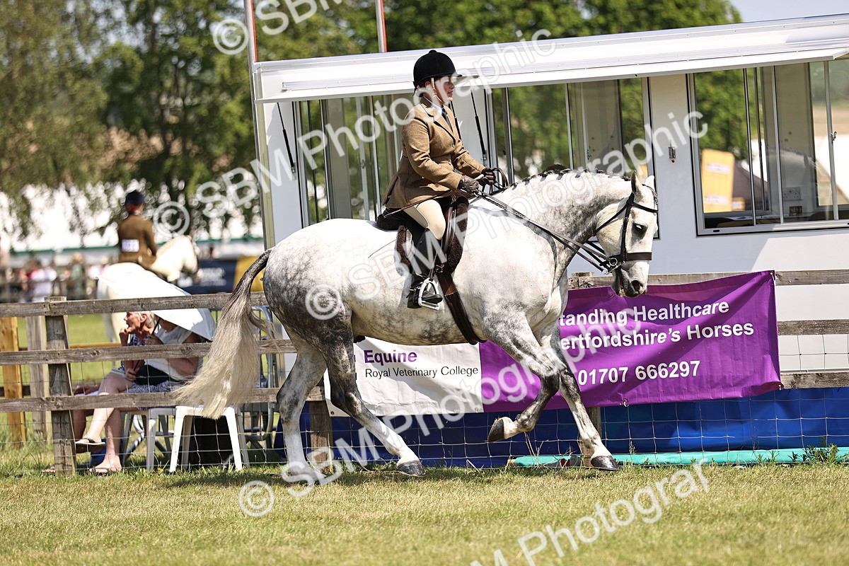 SBM_15073 - Class 79-80 - LIHS BSHA Rising Star Ridden Hunter