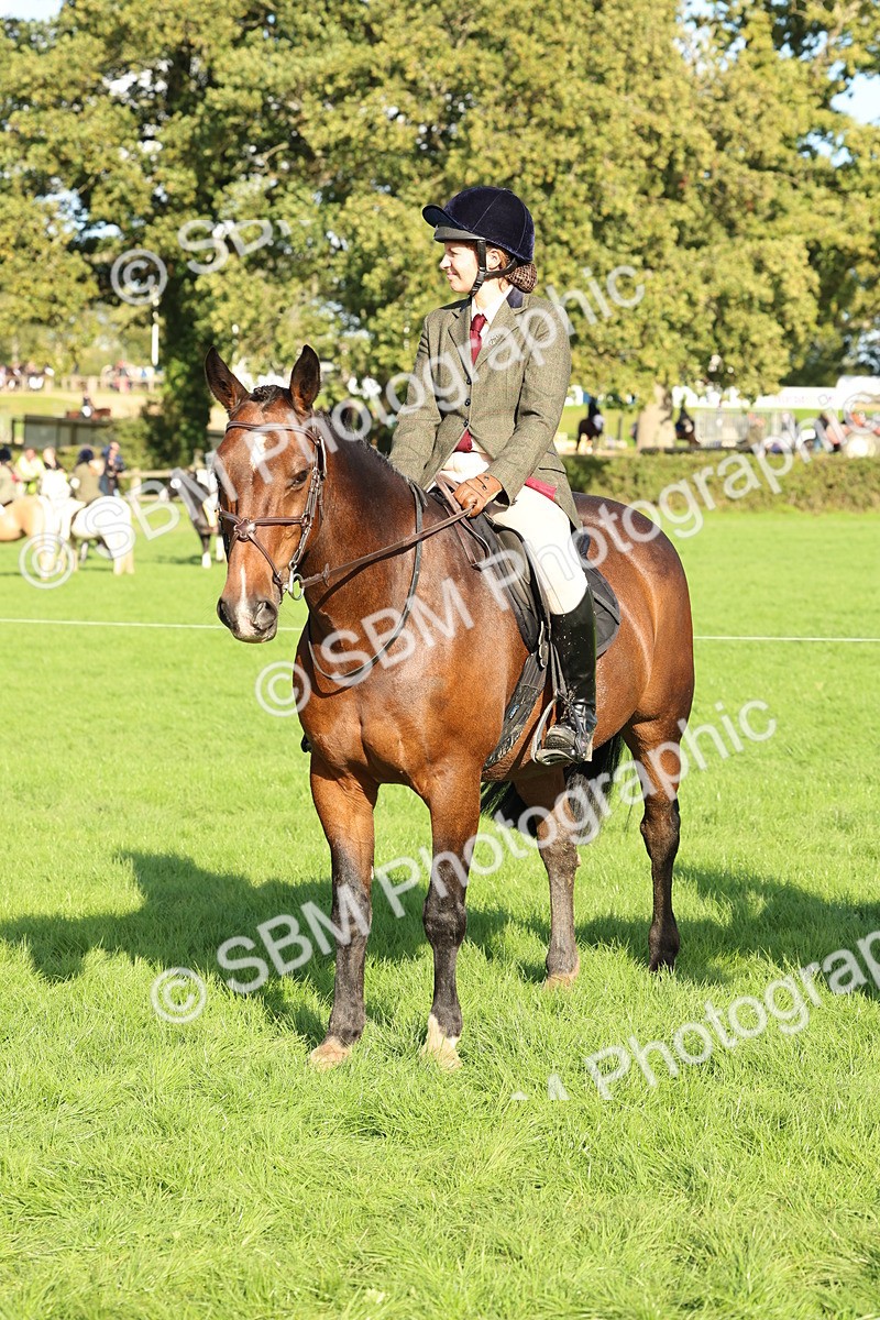 SBM_50164 - S34 - Novice & Newcomers Working Hunter