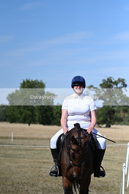 WJ7_1524 - Class 42 Most Handsome Gelding