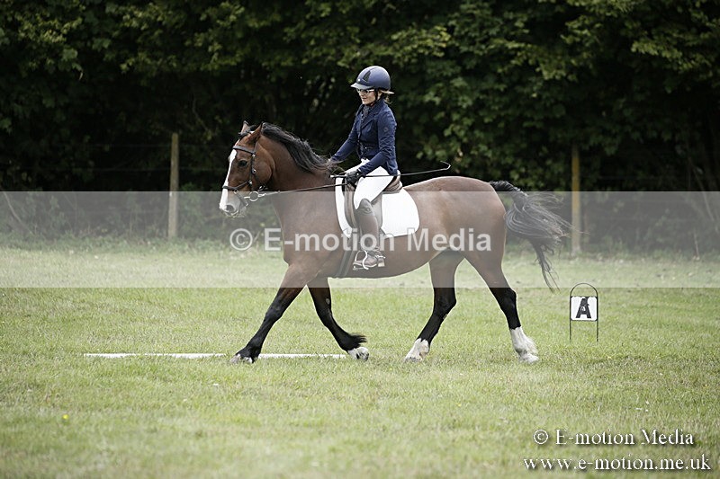 BVR080918 251 - BVRC Novice Dressage & CR 08/09/18