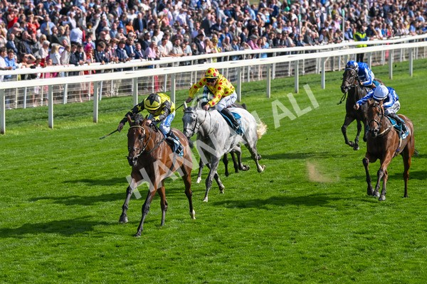 220825-Race 5-Cape Flora-7656 - Race 5 4.10pm Assured Data Protection EBF Fillies' Handicap