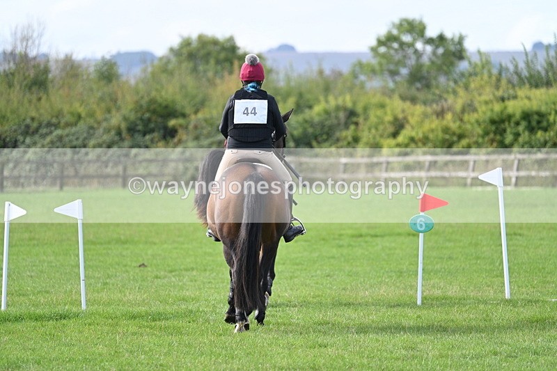 WJ7_8290 - 60cm Pairs