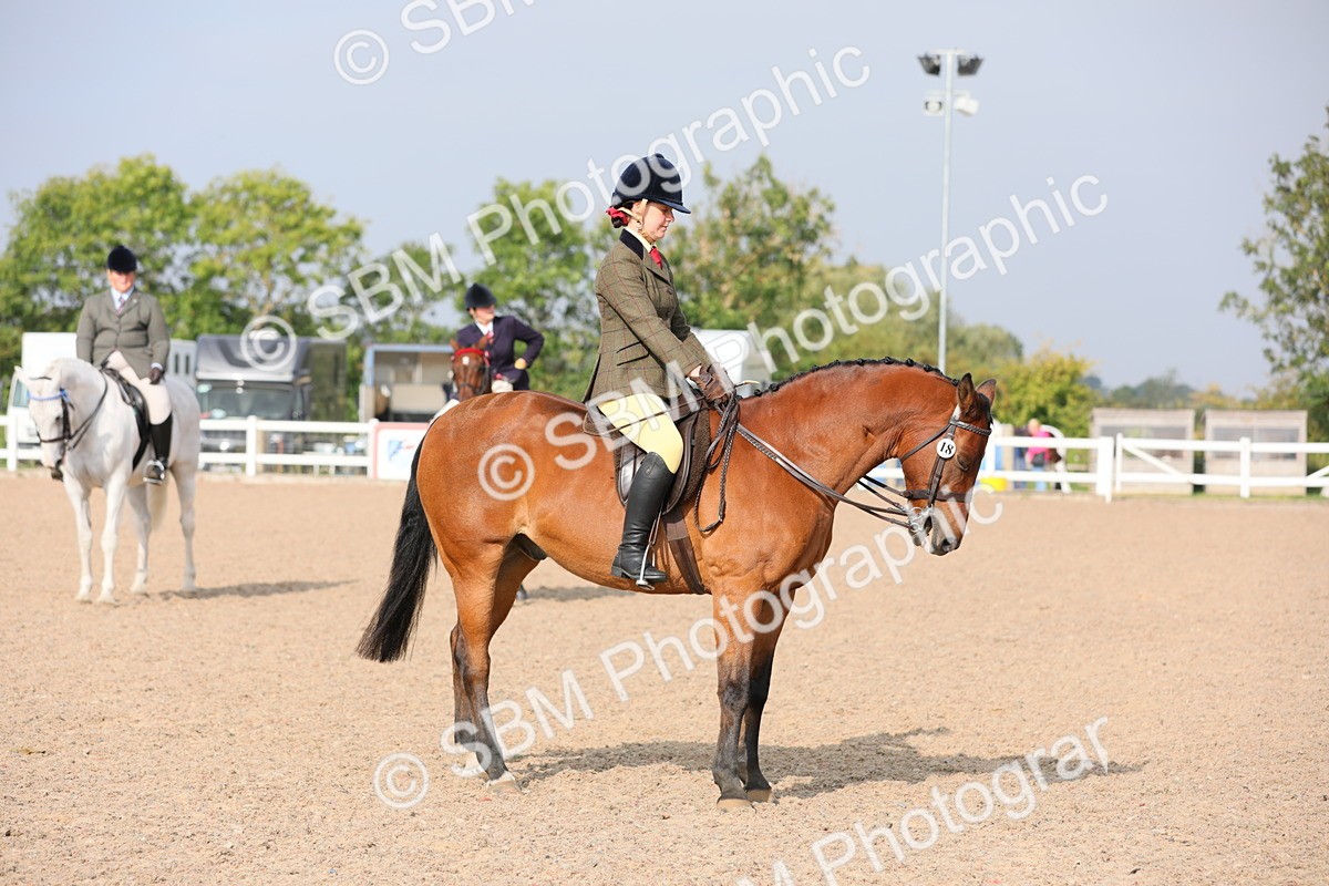 SBM_10905 - Class 304 Ridden Part Bred Horse/Pony