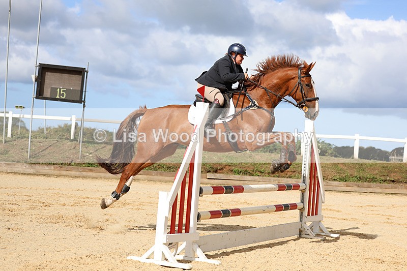 3E7A2101 - Class 4: Senior British Novice/90cm open