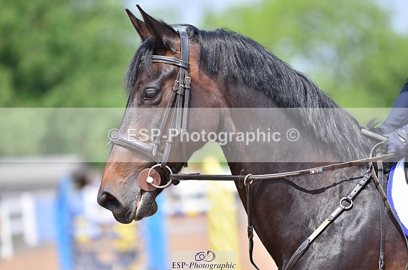 230609A-122606-00890 - Cls 10 85cm Amateur Qualifier