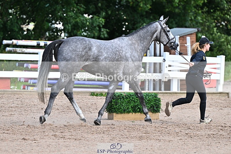 240718A-105252-01266 - Trot Up 12pm to 1pm
