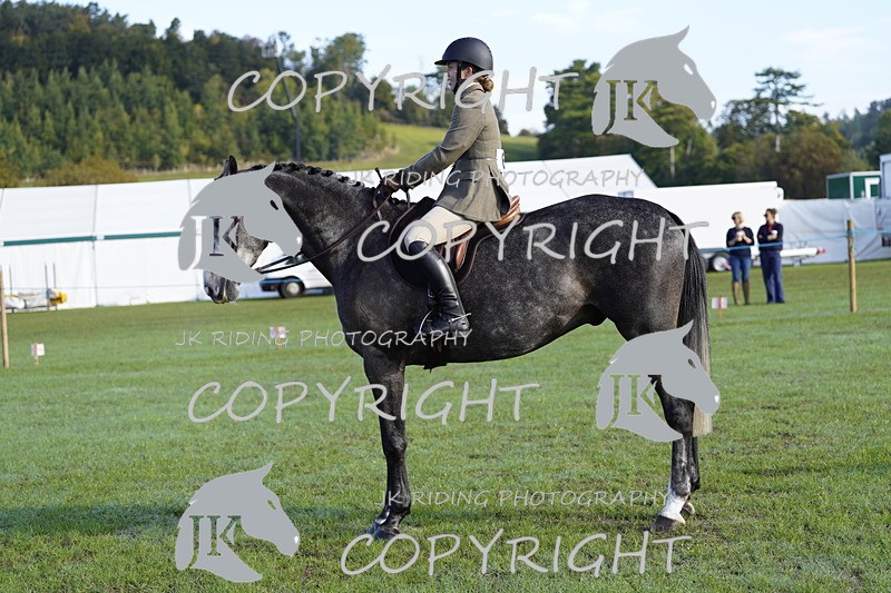 _DSC9391 - Class 8 & 17 Ridden Hunter & Ridden Hunter Pony