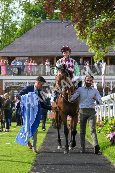 170524-Race 6-Riot-8636 - Race 6 4.45pm Yorkshire Equine Practice Handicap